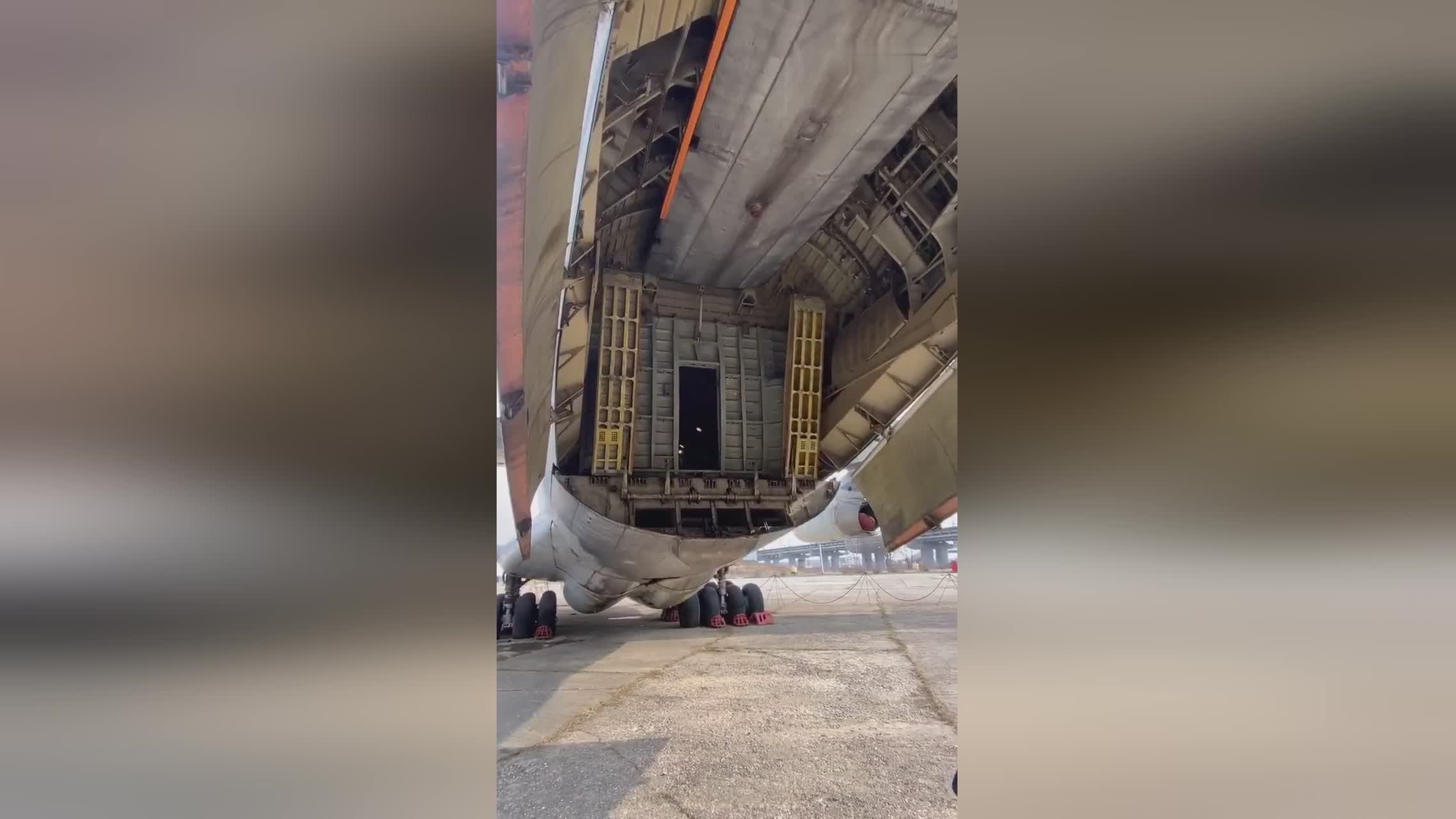 冷室裏有很多走廊 视频截图