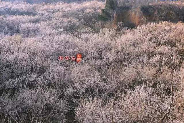 健介的王國 视频截图