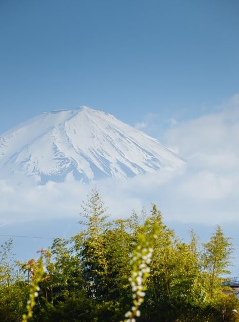 軍火廠 视频截图