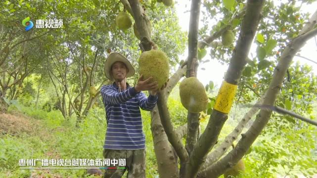 候選人阿蘭的詛咒 视频截图