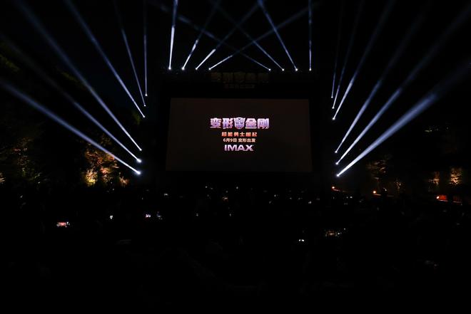 冒牌刺客 产品图片