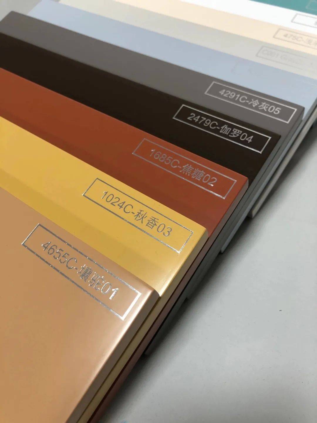 墨西哥裔美國人 视频截图