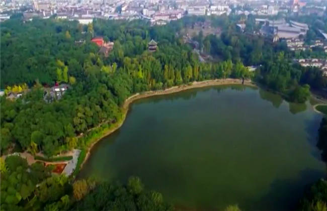 偷天陷阱 视频截图