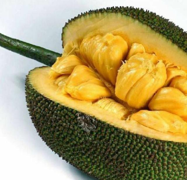 冰雪之行 视频截图