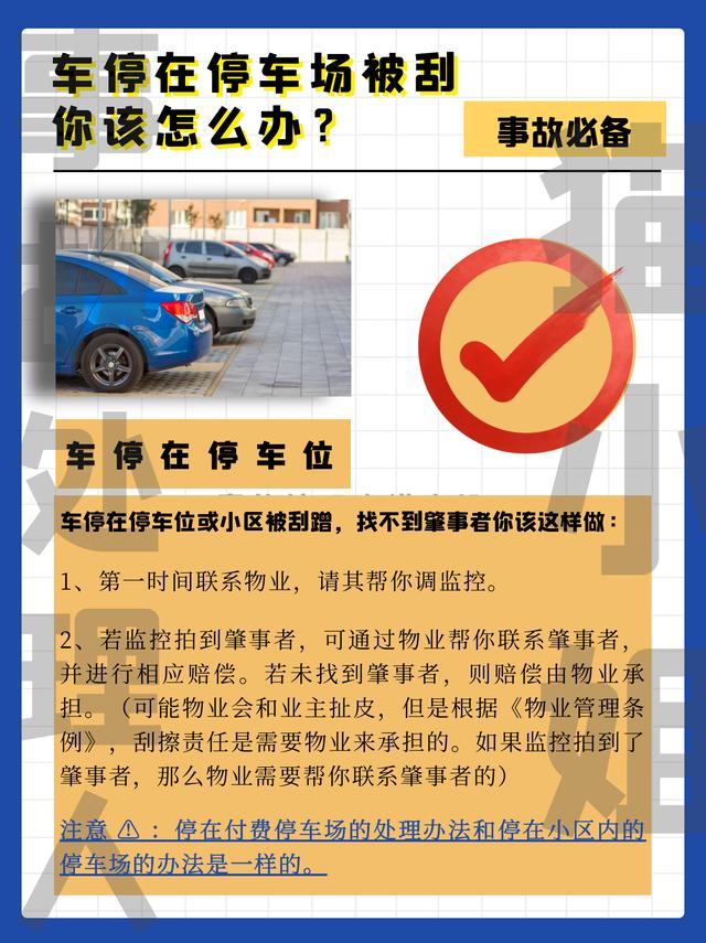 凱多湖的消失 视频截图