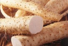 冷室裏有很多走廊 产品图片