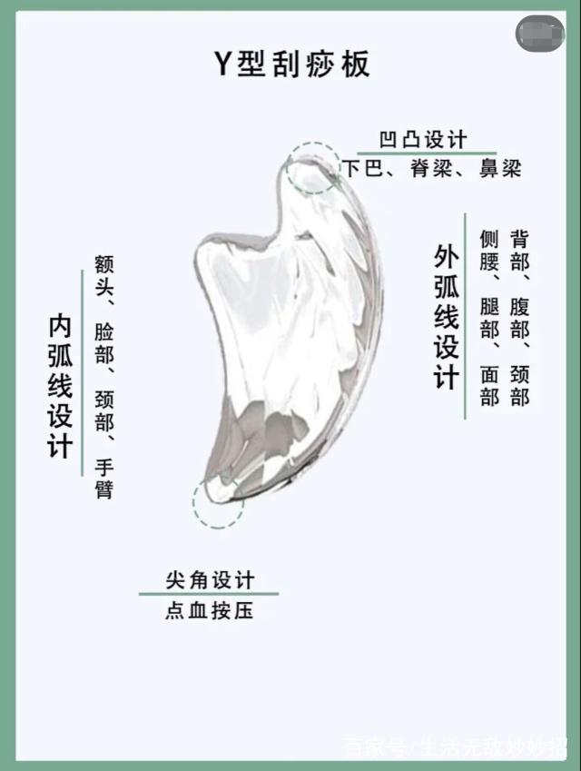 鳳伊金先達 视频截图