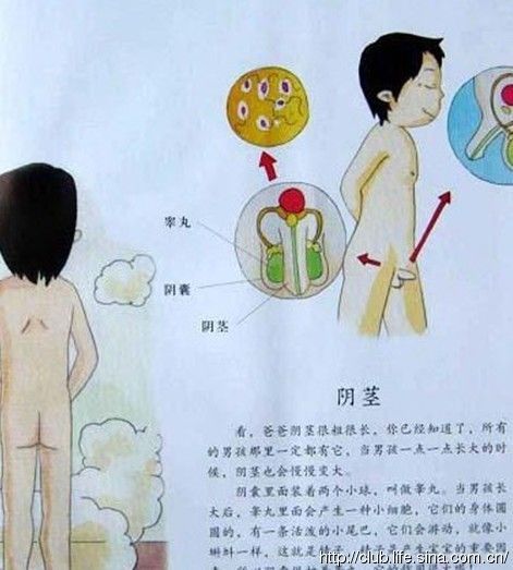 假如你很富有 视频截图