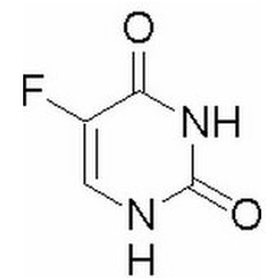 修女傳 视频封面
