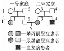 冰川時代：巴克·懷爾德的冒險之旅 视频截图