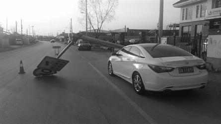 冒牌大賊 视频截图