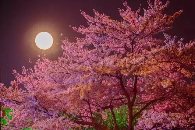 準備好了沒 视频截图