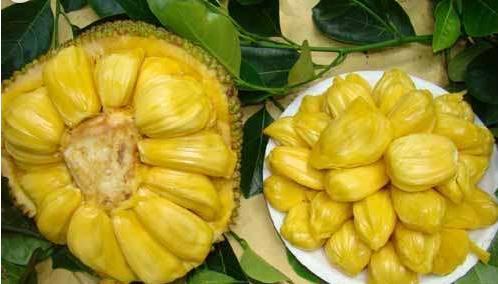 仙履奇緣 视频截图