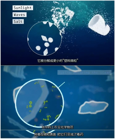 冬雪暖陽 视频截图