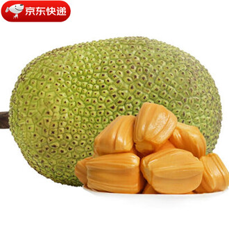 他的自傳 视频截图