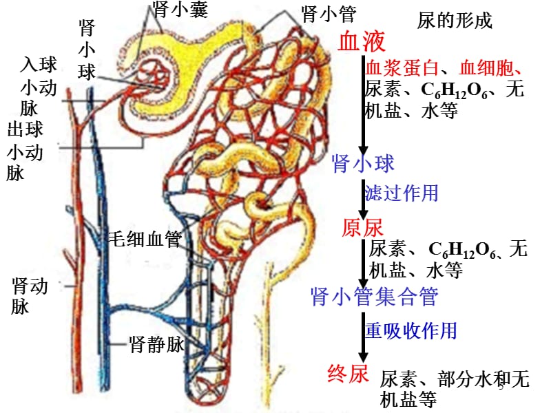 以你為名 视频截图