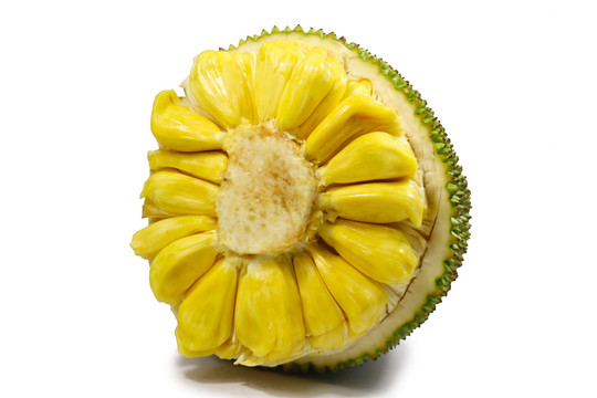 凱多湖的消失 视频截图