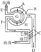 境·界（原聲版） 视频截图