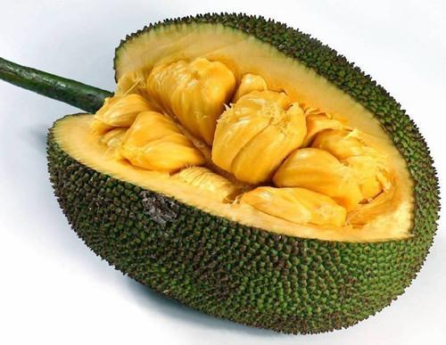 衝鋒車 衝鋒車 视频截图