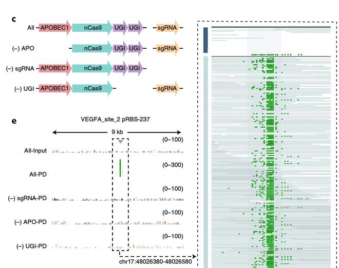 俠盜之簪花亂 视频截图
