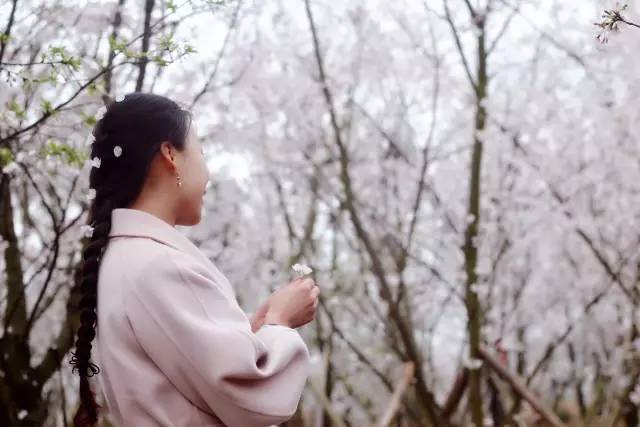 再造初戀 视频截图