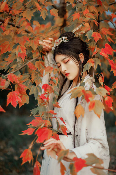 傲慢與偏見 普通話版 视频截图