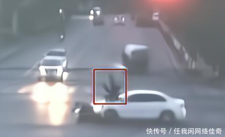 侏羅紀狂鯊3 视频截图