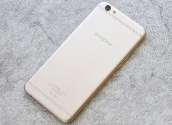 冬雪暖陽 视频截图