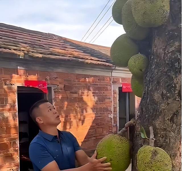 俠僧探案傳奇之大夜叉