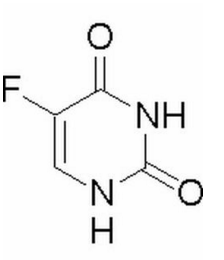 冬雪暖陽 视频截图