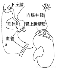 冰火鳳 视频截图