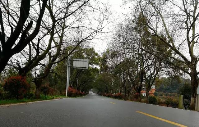 你行！你上！ 产品图片