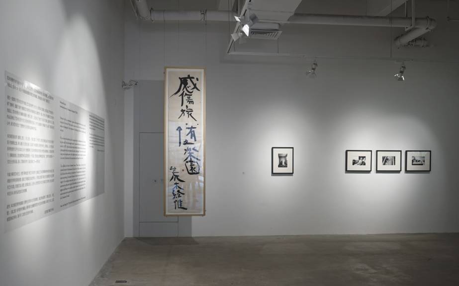 偽裝大師1：維多女人 视频截图