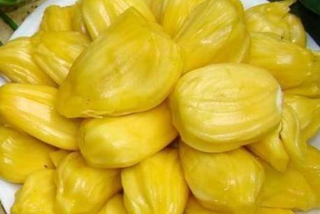 世界奇妙物語35周年特別篇~傳奇名作秋季特別篇