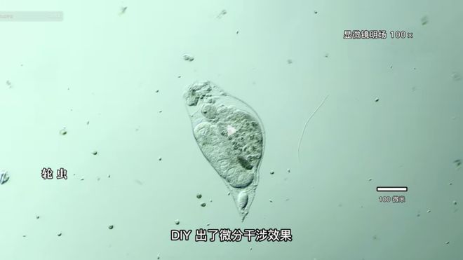 做工的人 视频截图