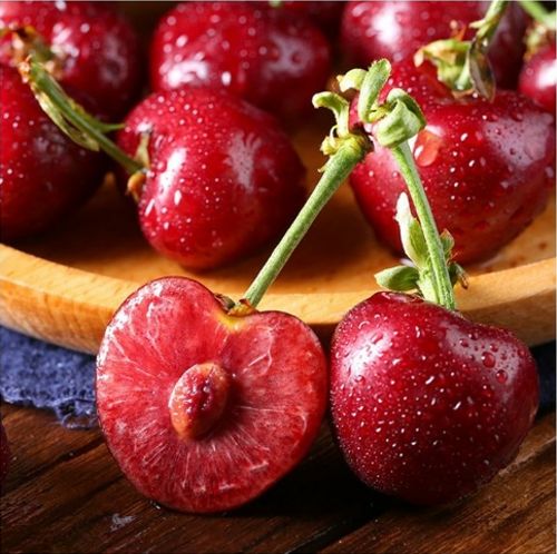 你追我趕 视频截图