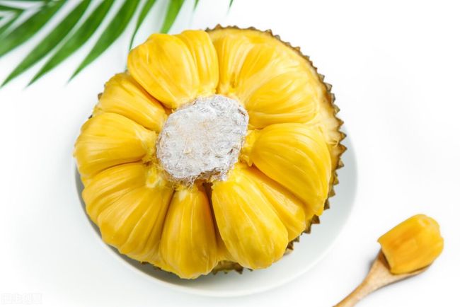 他的自傳 视频截图