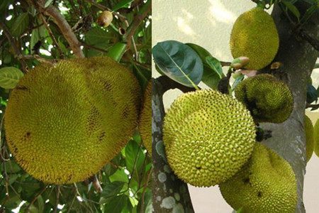 偉大的逃兵 视频截图