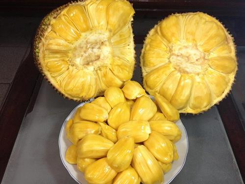 僵屍獎門人 视频截图