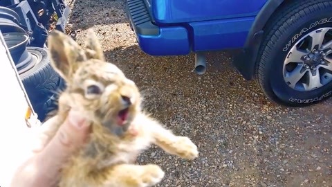 伴你高飛1996 视频截图