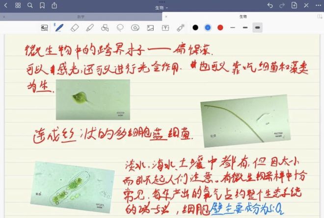 修女傳 视频截图