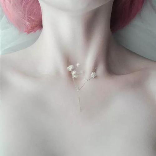 冰川時代：巴克·懷爾德的冒險之旅 视频截图