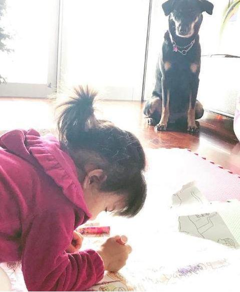 軍火廠 视频截图