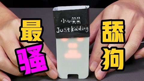 冒牌刺客 视频截图