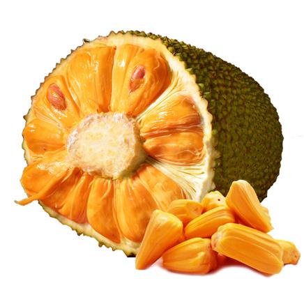 代孕媽媽 产品图片