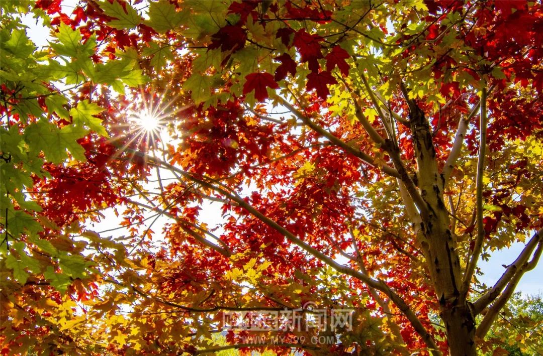 衝鋒車 衝鋒車 视频截图