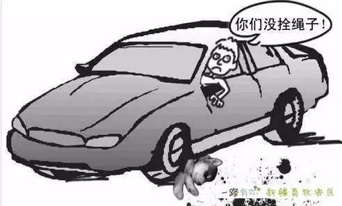 凱多湖的消失 视频截图