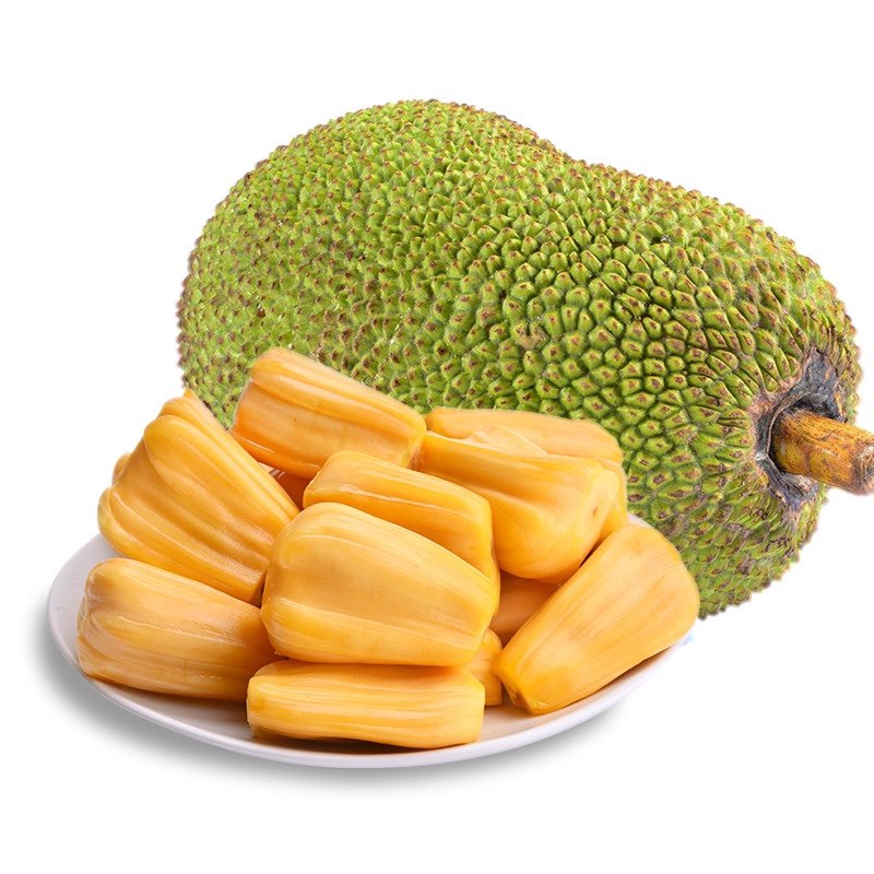 冒牌刺客 视频截图