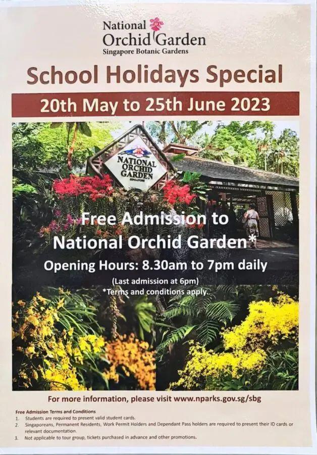 冰風暴 视频截图