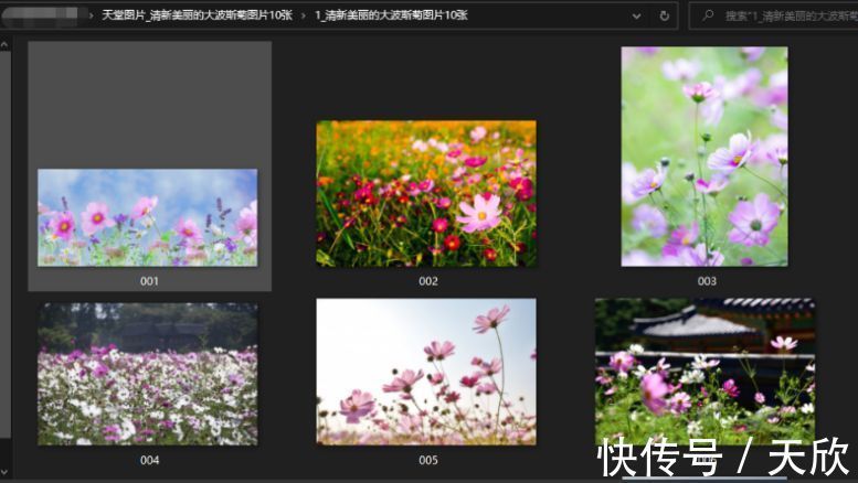 衝浪驚魂 视频截图